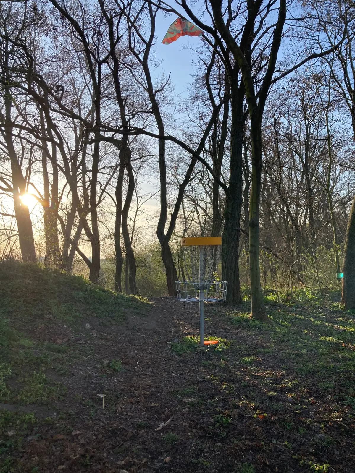 Diskgolf v Čakovicích